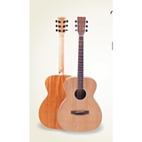 Đàn Guitar Acousitc TOM 423